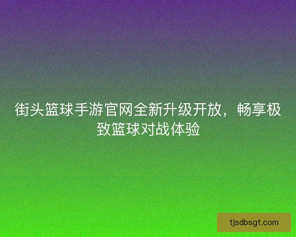 街头篮球手游官网全新升级开放，畅享极致篮球对战体验